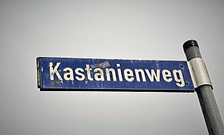 In einem Wohnhaus am Kastanienweg überraschte eine Bewohnerin einen maskierten Einbrecher. - Madita Schellenberg In einem Wohnhaus am Kastanienweg überraschte eine Bewohnerin einen maskierten Einbrecher. - Madita Schellenberg