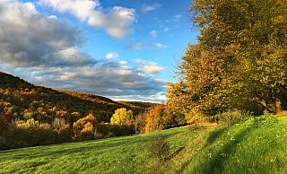 Die Egge, wie hier am Nordhang, könnte in Teilen Nationalpark werden. Die Debatte ist in vollem Gang. - Kurt Blaschke Die Egge, wie hier am Nordhang, könnte in Teilen Nationalpark werden. Die Debatte ist in vollem Gang. - Kurt Blaschke