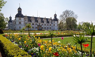 Dauerhafte und temporäre Fahrradständer sollten an 15 verschiedenen Orten im Schlosspark in Schloß Neuhaus errichtet werden, so der Vorschlag. - Niklas Tüns Dauerhafte und temporäre Fahrradständer sollten an 15 verschiedenen Orten im Schlosspark in Schloß Neuhaus errichtet werden, so der Vorschlag. - Niklas Tüns