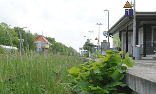Das Stellwerk der DB Netz im Bahnhof Rahden ist seit Wochen nicht besetzt und Rahden ist seit Mitte März vom Zugverkehr abgeschnitten. Die Natur holt sich inzwischen den Bahnhof zurück. - Joern Spreen-Ledebur Das Stellwerk der DB Netz im Bahnhof Rahden ist seit Wochen nicht besetzt und Rahden ist seit Mitte März vom Zugverkehr abgeschnitten. Die Natur holt sich inzwischen den Bahnhof zurück. - Joern Spreen-Ledebur