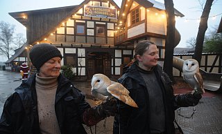 Angelika Bergmann und Frauke Niehus kümmern sich um die beiden Schleiereulen Auri und Umbra. Die beiden Schleiereulen sind im Tierpark Ströhen zu erleben. - Joern Spreen-Ledebur Angelika Bergmann und Frauke Niehus kümmern sich um die beiden Schleiereulen Auri und Umbra. Die beiden Schleiereulen sind im Tierpark Ströhen zu erleben. - Joern Spreen-Ledebur