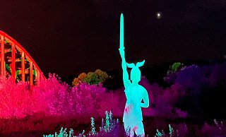 Erst angeleuchtet, dann versteigert: der Hermann auf der LGS. - Nicole Fischer Erst angeleuchtet, dann versteigert: der Hermann auf der LGS. - Nicole Fischer
