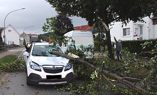 Der Ast durchschlug die Windschutzscheibe des Opel Mokka. - Polizei Minden-Lübbecke Der Ast durchschlug die Windschutzscheibe des Opel Mokka. - Polizei Minden-Lübbecke