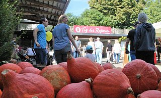 Viele Besucher kamen von weit her nach Rödinghausen zum Tag der Regionen. - Anastasia von Fugler Viele Besucher kamen von weit her nach Rödinghausen zum Tag der Regionen. - Anastasia von Fugler