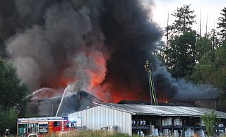 Großeinsatz für die Feuerwehr in Steinheim: Es galt ein den Brand in einer Kunststoff-Fabrik zu löschen und ein Ausbreiten des Feuers auf den nahe liegenden Wald zu verhindern. - Madita Schellenberg Großeinsatz für die Feuerwehr in Steinheim: Es galt ein den Brand in einer Kunststoff-Fabrik zu löschen und ein Ausbreiten des Feuers auf den nahe liegenden Wald zu verhindern. - Madita Schellenberg