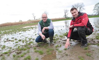 Ferdinand Falke (l.), Pflanzenbauberater der Landwirtschaftskammer NRW, und Landwirt Joachim Jostmeier aus Boke suchen auf dem aufgeweichten und völlig durchnässten Acker nach den Überresten der im Winter gesäten Gerste. - Uwe Müller Ferdinand Falke (l.), Pflanzenbauberater der Landwirtschaftskammer NRW, und Landwirt Joachim Jostmeier aus Boke suchen auf dem aufgeweichten und völlig durchnässten Acker nach den Überresten der im Winter gesäten Gerste. - Uwe Müller