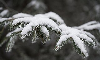 Auch wenn er nicht liegen bleibt: Am Wochenende dürfen sich Einwohner in OWL auf Schnee freuen. - Daniel Vogl Auch wenn er nicht liegen bleibt: Am Wochenende dürfen sich Einwohner in OWL auf Schnee freuen. - Daniel Vogl