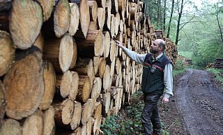 Polter nennt der Fachmann die Holzstapel, die den Waldweg am Nordrand von Bergkirchen säumen.Förster Markus Uhr begutachtet die Fichtenstämme. - Jörg Stuke Polter nennt der Fachmann die Holzstapel, die den Waldweg am Nordrand von Bergkirchen säumen.Förster Markus Uhr begutachtet die Fichtenstämme. - Jörg Stuke