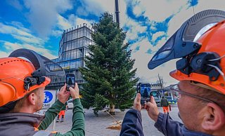 9.000 Euro kosteten die großen Weihnachtbäume für Jahnplatz, Rathaus und Alter Markt im Jahr 2022 die Stadt. Jetzt wird es sogar noch teurer. - Andreas Zobe 9.000 Euro kosteten die großen Weihnachtbäume für Jahnplatz, Rathaus und Alter Markt im Jahr 2022 die Stadt. Jetzt wird es sogar noch teurer. - Andreas Zobe