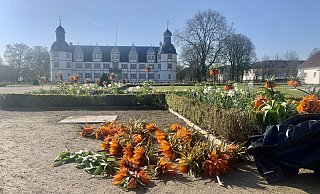 In Schloß Neuhaus wurden erneut die Blumenbeete beschädigt. - Schlosspark- und Lippesee-Gesellschaft In Schloß Neuhaus wurden erneut die Blumenbeete beschädigt. - Schlosspark- und Lippesee-Gesellschaft
