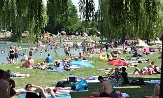 Das Gelände am Nesthauser See ist an schönen Sommertagen ein beliebtes Ziel. Dieses Foto ist aus dem Jahr 2019. - Svenja Ludwig Das Gelände am Nesthauser See ist an schönen Sommertagen ein beliebtes Ziel. Dieses Foto ist aus dem Jahr 2019. - Svenja Ludwig
