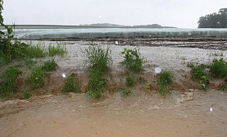 Überschwemmt: Dieser Acker in Halstern an der Straße Langefohrn kurz vor dem Schulweg steht unter Wasser. Unwetter über Mennighüffen, Starkregen in Halstern - Ulf Hanke Überschwemmt: Dieser Acker in Halstern an der Straße Langefohrn kurz vor dem Schulweg steht unter Wasser. Unwetter über Mennighüffen, Starkregen in Halstern - Ulf Hanke