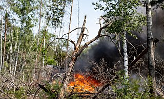 Flammen schlagen in einem Waldstück nahe Jüterbog in die Höhe. Auch in OWL gab es bereits die ersten Waldbrände. - Fabian Sommer/dpa Flammen schlagen in einem Waldstück nahe Jüterbog in die Höhe. Auch in OWL gab es bereits die ersten Waldbrände. - Fabian Sommer/dpa