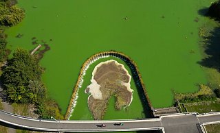 Nicht nur aus der Vogelperspektive präsentiert sich der Paderborner Lippesee aufgrund von Blaualgen aktuell in einem giftigen Grün. - Raphael Athens Nicht nur aus der Vogelperspektive präsentiert sich der Paderborner Lippesee aufgrund von Blaualgen aktuell in einem giftigen Grün. - Raphael Athens