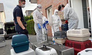 Einsatzkräfte tragen Boxen mit Katzen aus einem Haus in Lippstadt. Insgesamt wurden dort 167 Tiere gefunden. Sieben von ihnen sind nun im Tierheim Gütersloh aufgenommen worden. - Christian Müller Einsatzkräfte tragen Boxen mit Katzen aus einem Haus in Lippstadt. Insgesamt wurden dort 167 Tiere gefunden. Sieben von ihnen sind nun im Tierheim Gütersloh aufgenommen worden. - Christian Müller