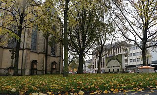 Auf der freien Grünfläche zwischen der Herz-Jesu-Kirche und der Florianstraße könnte eine überdachte Aufenthaltsmöglichkeit entstehen. - Mareike Gröneweg Auf der freien Grünfläche zwischen der Herz-Jesu-Kirche und der Florianstraße könnte eine überdachte Aufenthaltsmöglichkeit entstehen. - Mareike Gröneweg