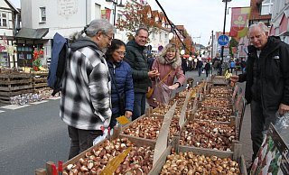 Die verschiedensten Tulpenzwiebeln aus den Niederlanden waren auf Martini ein Renner. Erstmals gab es einen Hollandmarkt beim Salzkottener Stadtfest. - Johannes Büttner Die verschiedensten Tulpenzwiebeln aus den Niederlanden waren auf Martini ein Renner. Erstmals gab es einen Hollandmarkt beim Salzkottener Stadtfest. - Johannes Büttner