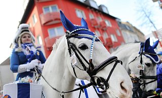 Eine Karnevalistin auf einem Pferd beim Kölner Rosenmontagszug 2018. - Rolf Vennenbernd Eine Karnevalistin auf einem Pferd beim Kölner Rosenmontagszug 2018. - Rolf Vennenbernd