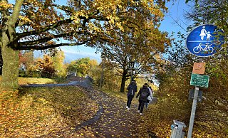 Rad- und Gehweg in einem Bielefelder Grünzug: Innerstädtische Grünflächen und Parks sollen zu Ruheoasen für die Menschen werden, die in der Umgebung wohnen. - Barbara Franke Rad- und Gehweg in einem Bielefelder Grünzug: Innerstädtische Grünflächen und Parks sollen zu Ruheoasen für die Menschen werden, die in der Umgebung wohnen. - Barbara Franke