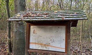 Der Spürnasenpfad im Schweichelner Wald ist noch für die Öffentlichkeit gesperrt. - Björn Kenter Der Spürnasenpfad im Schweichelner Wald ist noch für die Öffentlichkeit gesperrt. - Björn Kenter