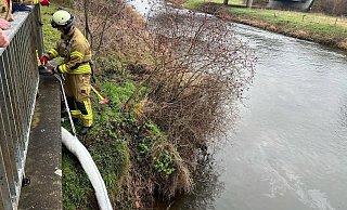 Wegen der Gewässerverschmutzung hat die Freiwillige Feuerwehr eine Ölsperre eingerichtet. - FFW Warburg Wegen der Gewässerverschmutzung hat die Freiwillige Feuerwehr eine Ölsperre eingerichtet. - FFW Warburg