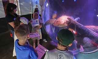 Indoor-Aktivitäten profitieren im Moment von dem durchwachsenen Sommerwetter. - dpa Indoor-Aktivitäten profitieren im Moment von dem durchwachsenen Sommerwetter. - dpa