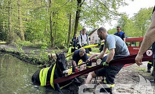 Tierrettung in Steinhagen: Mit vereinten Kräften wurde das Pferd ans Ufer gezogen. - Feuerwehr Steinhagen Tierrettung in Steinhagen: Mit vereinten Kräften wurde das Pferd ans Ufer gezogen. - Feuerwehr Steinhagen
