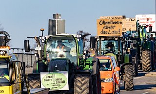 Landwirte protestierten am Montag bundesweit gegen Entscheidungen der Bundesregierung. - Frank Hammerschmidt Landwirte protestierten am Montag bundesweit gegen Entscheidungen der Bundesregierung. - Frank Hammerschmidt