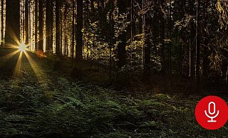 Die vermisste Scarlett S. war eine passionierte und erfahrene Wanderin. Was ist mit ihr passiert? Die Ermittler stehen vor einem Rätsel. - Symbolbild: Pixabay Die vermisste Scarlett S. war eine passionierte und erfahrene Wanderin. Was ist mit ihr passiert? Die Ermittler stehen vor einem Rätsel. - Symbolbild: Pixabay