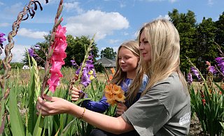 Blumenmeer in Gestringen: Liah und ihre Mutter Tonia pflücken einen farbenfrohen Strauß Gladiolen. - Heike von Schulz Blumenmeer in Gestringen: Liah und ihre Mutter Tonia pflücken einen farbenfrohen Strauß Gladiolen. - Heike von Schulz