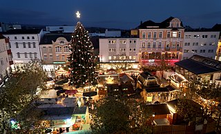 Es wird wieder ein stattlicher Tannenbaum zum Weihnachtsmarkt auf dem Alten Markt stehen. - Frank-Michael Kiel-Steinkamp Es wird wieder ein stattlicher Tannenbaum zum Weihnachtsmarkt auf dem Alten Markt stehen. - Frank-Michael Kiel-Steinkamp