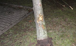 Der Seat des 27-jährigen Bad Oeynhauseners krachte gegen diese Baum. - Polizei Minden-Lübbecke Der Seat des 27-jährigen Bad Oeynhauseners krachte gegen diese Baum. - Polizei Minden-Lübbecke