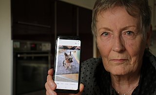 Anita Benedix (76) aus Scherfede bleiben nach dem Angriff eines Kampfhundes nur Erinnerungen an ihren Jimmy. - Dieter Scholz Anita Benedix (76) aus Scherfede bleiben nach dem Angriff eines Kampfhundes nur Erinnerungen an ihren Jimmy. - Dieter Scholz
