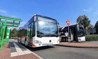Warten auf Fahrgäste: Am zentralen Omnibusbahnhof Nieheim (ZOB) stehen Busse nach Steinheim und Brakel zur Abfahrt bereit. Die Bürger sollen mitreden, wie viele Busse künftig noch fahren sollen. - David Schellenberg Warten auf Fahrgäste: Am zentralen Omnibusbahnhof Nieheim (ZOB) stehen Busse nach Steinheim und Brakel zur Abfahrt bereit. Die Bürger sollen mitreden, wie viele Busse künftig noch fahren sollen. - David Schellenberg