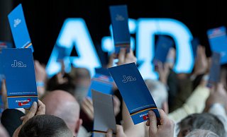 Die Zustimmung für die AfD ist laut des aktuellen Deutschlandtrends wie auf diesem Symbolbild derzeit besonders hoch. Die AfD ist seit der letzten Wahl im Lübbecker Land in allen Stadt- und Gemeinderäten vertreten, mit Ausnahme von Lübbecke. - Symbolbild Dpa Die Zustimmung für die AfD ist laut des aktuellen Deutschlandtrends wie auf diesem Symbolbild derzeit besonders hoch. Die AfD ist seit der letzten Wahl im Lübbecker Land in allen Stadt- und Gemeinderäten vertreten, mit Ausnahme von Lübbecke. - Symbolbild Dpa