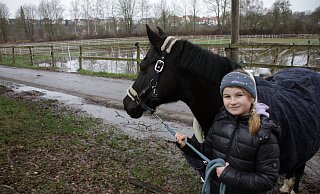 Noala blickt über das stehende Wasser auf den Wiesen gegenüber der Reitanlage an der Angertwete in der Warburger Altstadt. Auf den gewohnten Auslauf muss sie verzichten, sagt Merle (8). - Dieter Scholz Noala blickt über das stehende Wasser auf den Wiesen gegenüber der Reitanlage an der Angertwete in der Warburger Altstadt. Auf den gewohnten Auslauf muss sie verzichten, sagt Merle (8). - Dieter Scholz