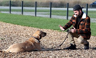 Hundetrainer Mustafa Irmak bemerkt, dass immer mehr Hunde verhaltensauffällig sind. - Wolfgang Rudolf Hundetrainer Mustafa Irmak bemerkt, dass immer mehr Hunde verhaltensauffällig sind. - Wolfgang Rudolf