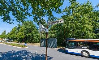 Auf dem bewaldeten Grundstück an der Sprungbachstraße in Sennestadt soll das Zentraldepot entstehen. - Andreas Zobe Auf dem bewaldeten Grundstück an der Sprungbachstraße in Sennestadt soll das Zentraldepot entstehen. - Andreas Zobe