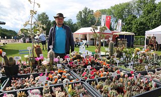 Joseph bietet unzählige Sukkulenten und Kakteen in verschiedensten Größen und Formen an. - Anthea Moschner Joseph bietet unzählige Sukkulenten und Kakteen in verschiedensten Größen und Formen an. - Anthea Moschner