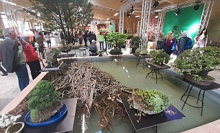 Fernöstliche Inspirationen gibt's bei der zweiten Ausstellung in der Blumenhalle der LGS. - Simone Flörke Fernöstliche Inspirationen gibt's bei der zweiten Ausstellung in der Blumenhalle der LGS. - Simone Flörke