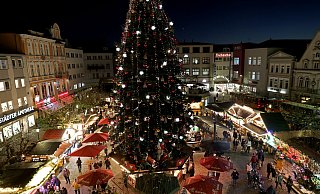 Der Alte Markt mit dem großen Weihnachtsbaum wird auch in diesem Jahr der Magnet des Herforder Weihnachtslichtes sein. - Frank-Michael Kiel-Steinkamp Der Alte Markt mit dem großen Weihnachtsbaum wird auch in diesem Jahr der Magnet des Herforder Weihnachtslichtes sein. - Frank-Michael Kiel-Steinkamp