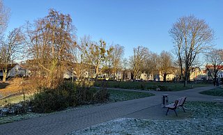 Neue Bäume können im Riemekepark wohl erst im kommenden Jahr gepflanzt werde, geliefert sind sie aber schon. - Marc Schröder Neue Bäume können im Riemekepark wohl erst im kommenden Jahr gepflanzt werde, geliefert sind sie aber schon. - Marc Schröder
