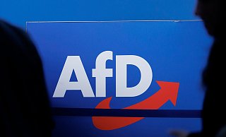 Populistische Parteien wie die AfD profitieren von Kriegen, Krisen und auch der schlechten Performance der Ampelkoalition. - dpa Populistische Parteien wie die AfD profitieren von Kriegen, Krisen und auch der schlechten Performance der Ampelkoalition. - dpa