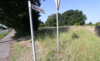 Noch ist nur Gras zu sehen: Auf dieser Grünlandfläche am Haferweg in Oetinghausen soll die neue Kita entstehen. - Björn Kenter Noch ist nur Gras zu sehen: Auf dieser Grünlandfläche am Haferweg in Oetinghausen soll die neue Kita entstehen. - Björn Kenter