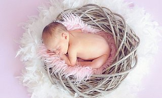 Drei neue kleine Menschenskinder sind nun im Kreis Höxter zu Hause. - Pixabay (Symbolfoto) Drei neue kleine Menschenskinder sind nun im Kreis Höxter zu Hause. - Pixabay (Symbolfoto)