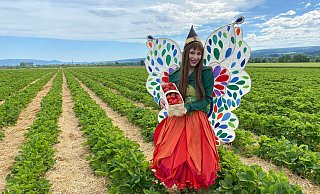 Huxarium-Botschafterin Holli hat Erdbeeren auf Wittrocks Obstplantage gepflückt. - Huxarium-Gartenpark Höxter Huxarium-Botschafterin Holli hat Erdbeeren auf Wittrocks Obstplantage gepflückt. - Huxarium-Gartenpark Höxter