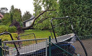Die extremen Gewitterböen in der Nacht zu Dienstag haben einen Baum entwurzelt, ein Trampolin liegt davor, Nähe Koloniestraße in Espelkamp. - Heike von Schulz Die extremen Gewitterböen in der Nacht zu Dienstag haben einen Baum entwurzelt, ein Trampolin liegt davor, Nähe Koloniestraße in Espelkamp. - Heike von Schulz