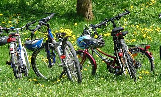 Das gute Wetter genießen: Höxter bietet einige interessante Ausflugsziele im Grünen für die ganze Familie. - Pixabay Das gute Wetter genießen: Höxter bietet einige interessante Ausflugsziele im Grünen für die ganze Familie. - Pixabay