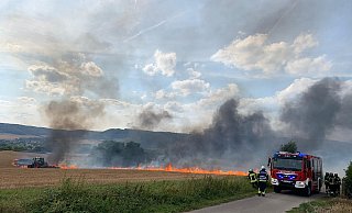 Feldbrände können sich rasend schnell ausbreiten. - Feuerwehr Boffzen Feldbrände können sich rasend schnell ausbreiten. - Feuerwehr Boffzen