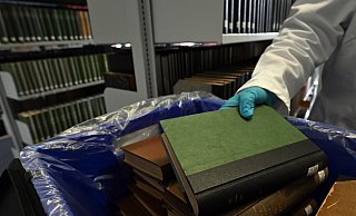 In vielen Bibliotheken werden derzeit grüne Bücher aus dem 19. Jahrhundert aus den Regalen genommen - sie stehen unter Verdacht, mit giftigem Arsen belastet zu sein. - Federico Gambarini In vielen Bibliotheken werden derzeit grüne Bücher aus dem 19. Jahrhundert aus den Regalen genommen - sie stehen unter Verdacht, mit giftigem Arsen belastet zu sein. - Federico Gambarini